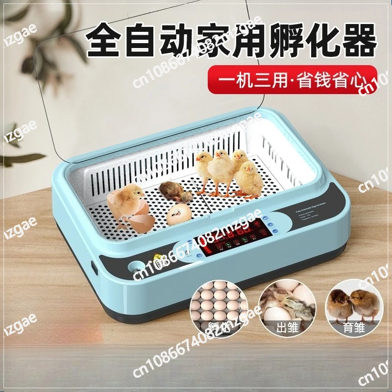 

Инкубатор: Умный инкубатор, компактный инкубатор для домашнего использования