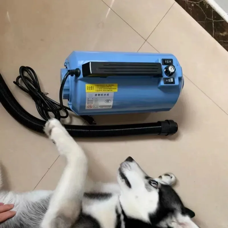 

High Power Quick Drying Professional Powerful Dog Hair Dryer Adjustment Hot Cold Brush Air Blow Dryer