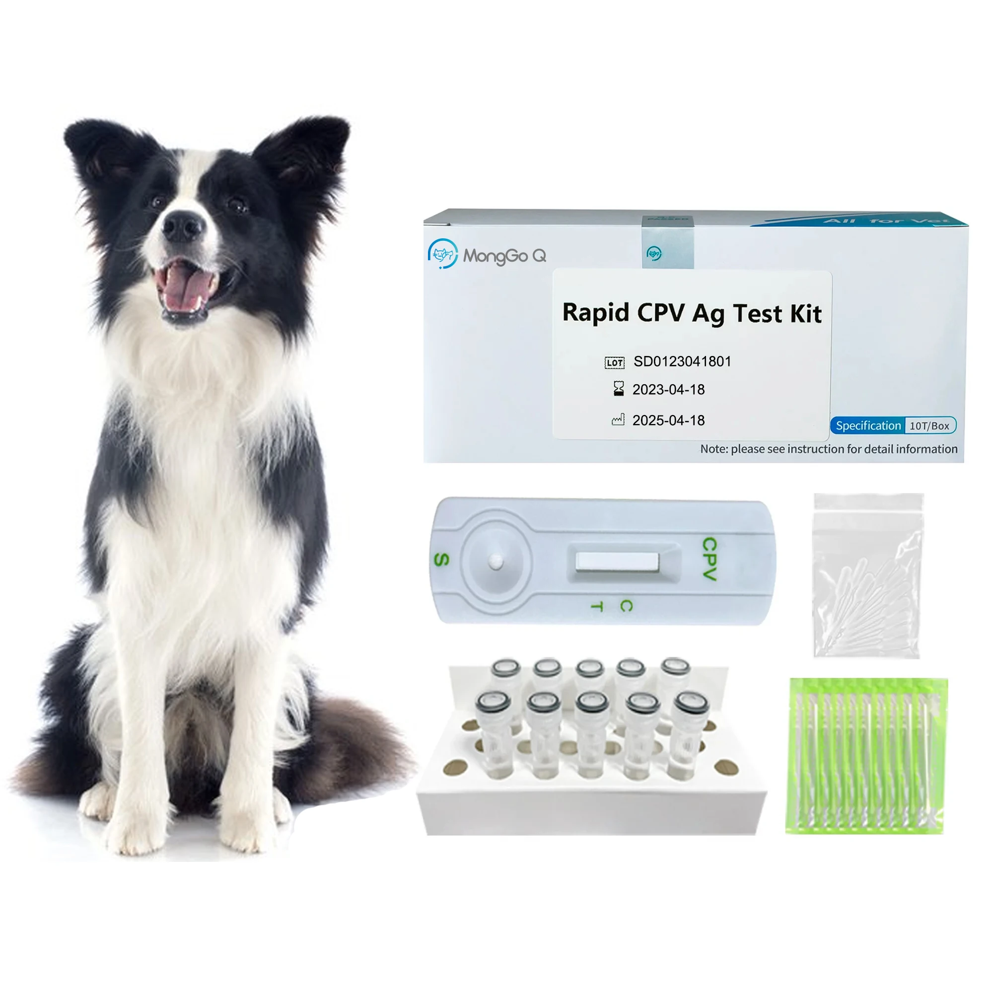 MongGoQ Canine Parvo Diagnostic, Home Health Care Test Paper, Safe Supplies, Pet Accessories for Dog, CPV-10, 10Pcs