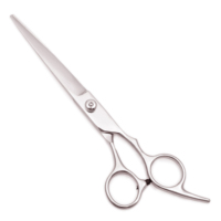 Hair Scissors 6.5\