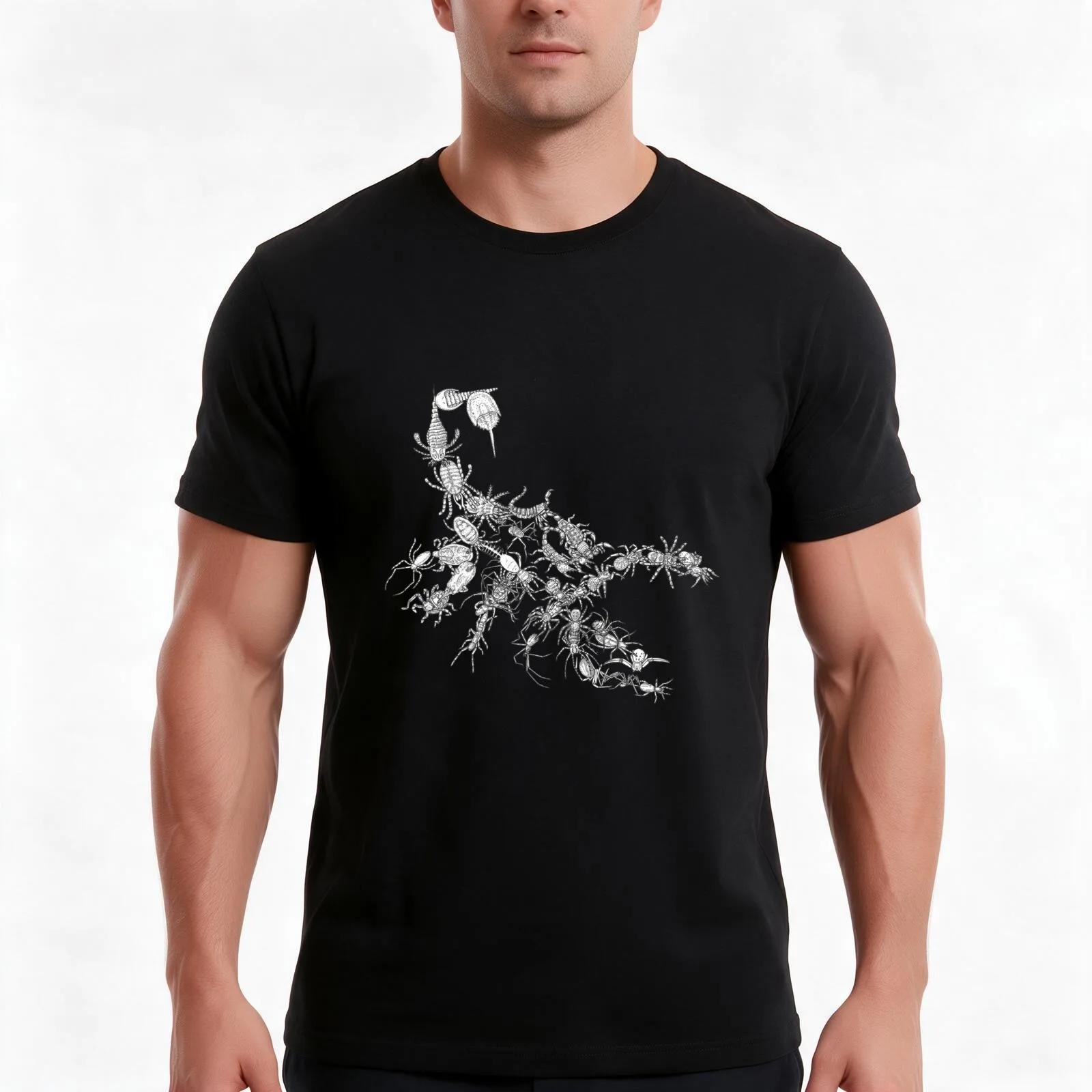 T-shirt sur l’évolution des arachnides – araignées, scorpions, etc. – T-shirt d’été décontracté en coton, hauts amples de style streetwear, modèle unisexe pour hommes et femmes.