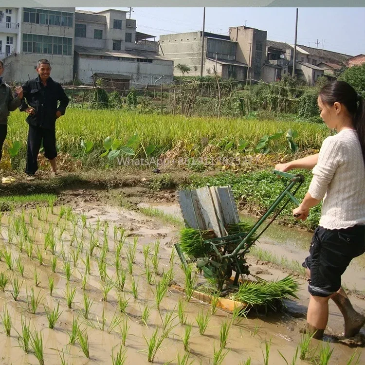 Fabryczna hurtownia sadzarek maszyna do sadzenia paddy seeders & transplanters myanmar transplanter ryżu mały transplanter ryżu