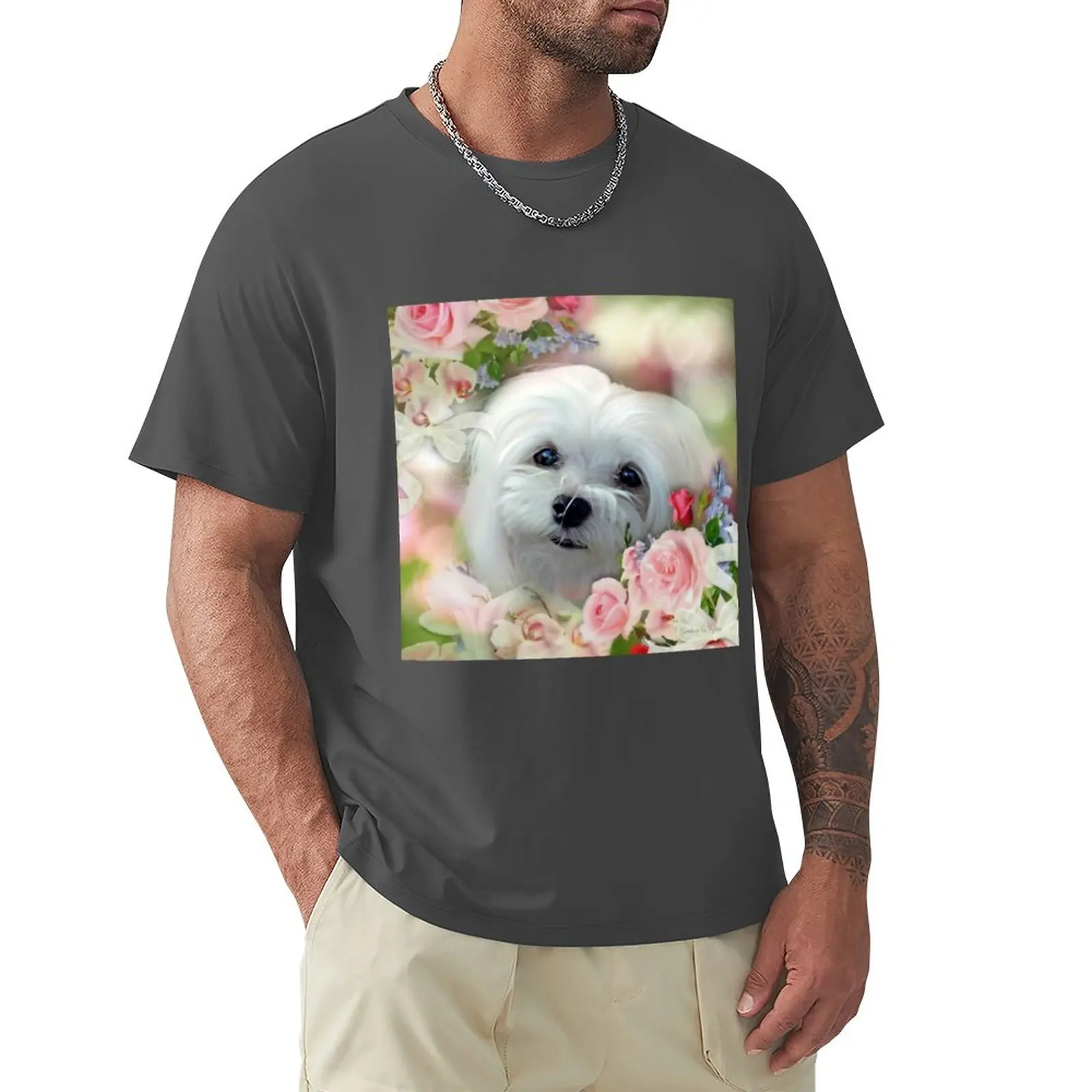 

Snowdrop the Maltese - The Face that Melts my Heart T-Shirt black t shirt mens big and tall t shirts