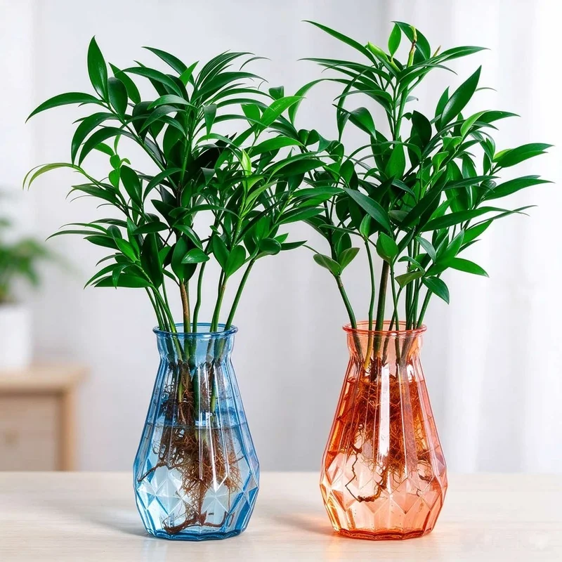 Transparent plastic hydroponic vase, specifically designed for pothos and copper pennywort, a creative home decor item, a water-