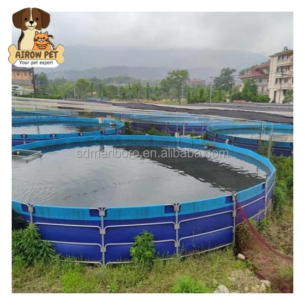 AIROW SDM  Can Be Customized Metal Frame Collapsible and Movable Plastic Pvc Fish Tanks Farming
