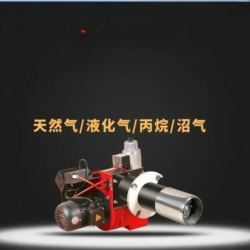 

Hot SalesLiquefied Natural Gas Burner, Biogas Burner Equipment, Industrial Boiler, Furnace Head