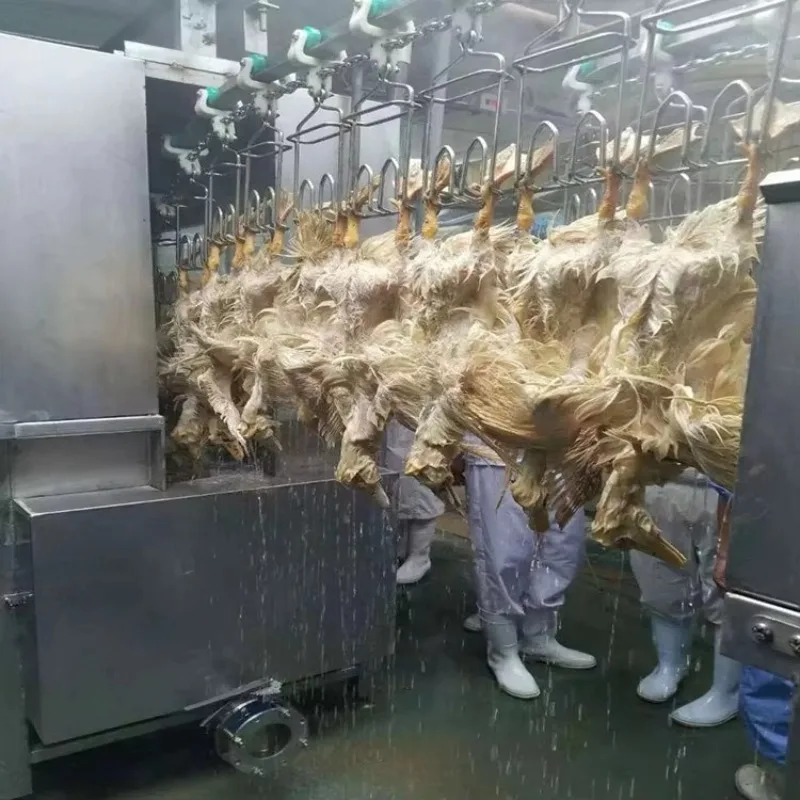 Custom 1000-2500 CE Approved Chicken Duck Poultry Slaughtering Production Line Halal Slaughter House Machine