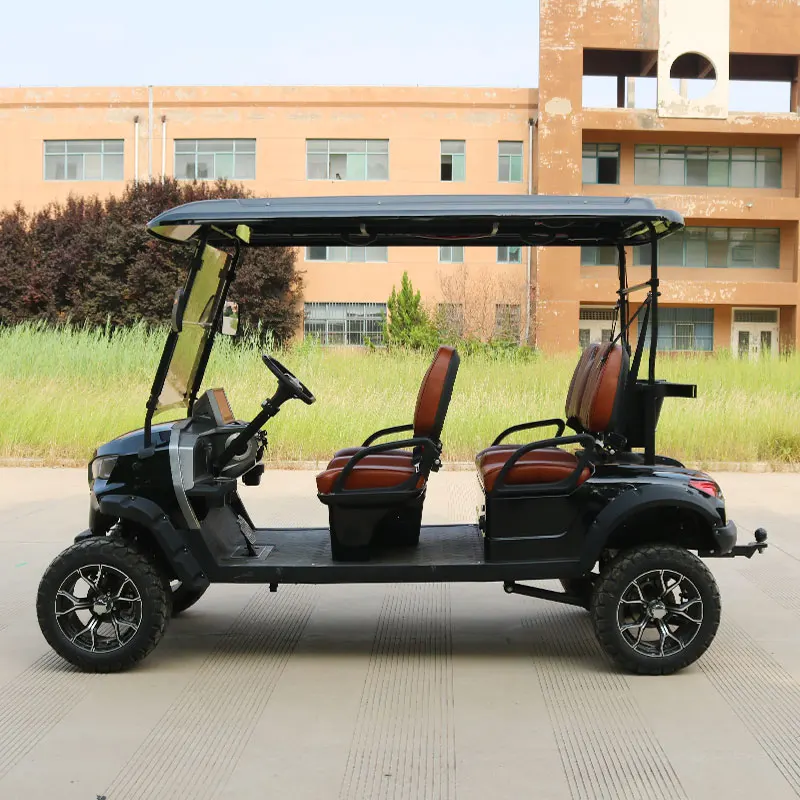 Electric Golf Scooter Golf Cart with Curtis Controller Electric Golf Cart