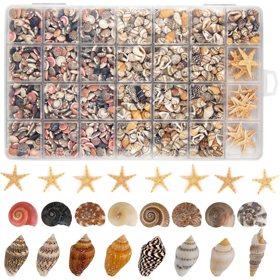 

1200 PCS Tiny Seasheld 21 Starfish Mixed Bulk Beach Small Shells for Home Decor Beach Theme Party Decorations Fish Tank Aquariu