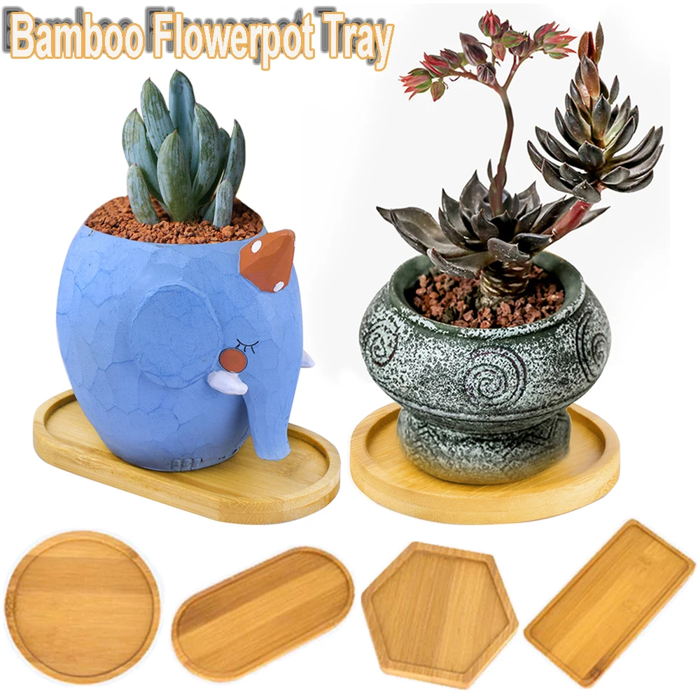 Simple Style Home Decoration Succulents Bonsai Holder Round Square Flowerpot Base Hexagon Rectangle Bamboo Wood Tray