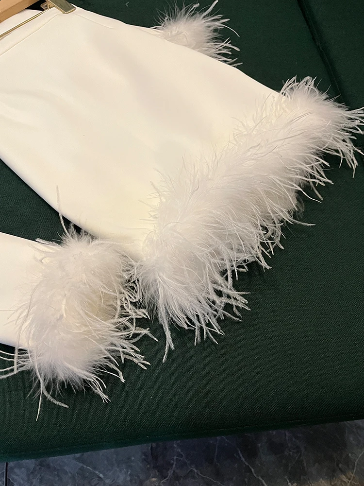 2025 automne hiver Celebri Faion haute ade plume d'autruche trajet femmes costume orts ensemble Ele Busin dame D37