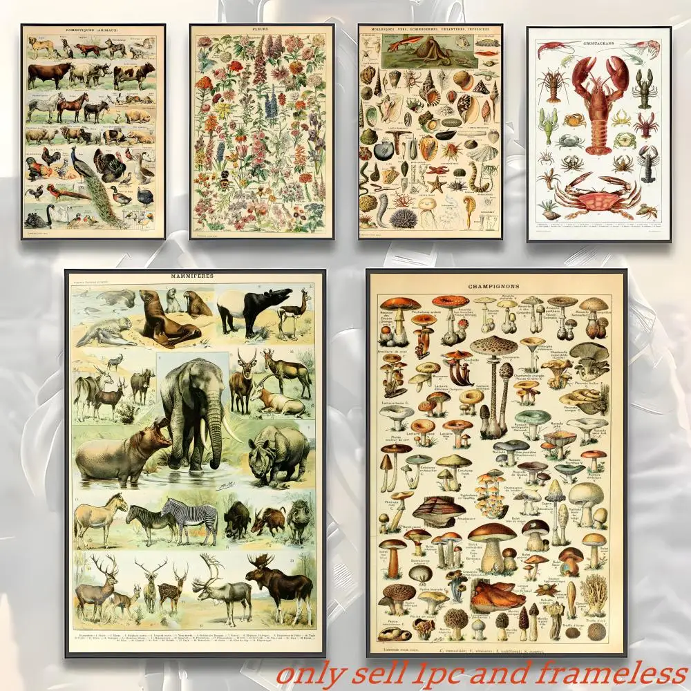 Retro Vegetable Fruit Mushroom Print Specimen Poster Gift with prints Home bedroom living room decoration promotion and display