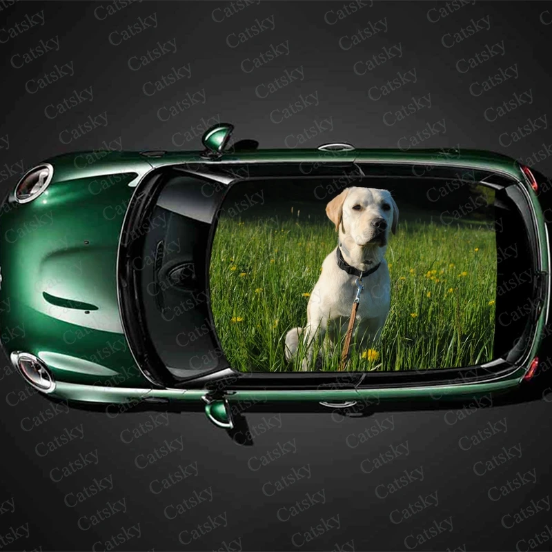 Labrador Retriever Print Car Roof Sticker Wrap Racing SUV Auto Accessories Packaging Painted PVC Car Hood Graphic Decal Decor