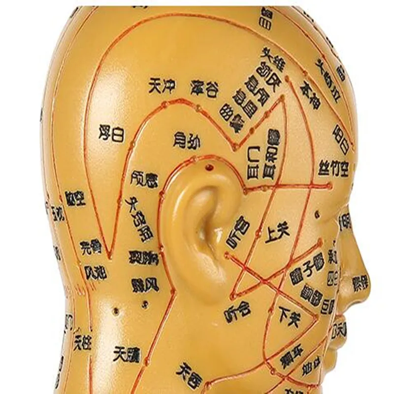 2020 NEW Human Acupuncture Model Meridian Acupuncture TCM Body  Bronze Man Medical teaching DIY science