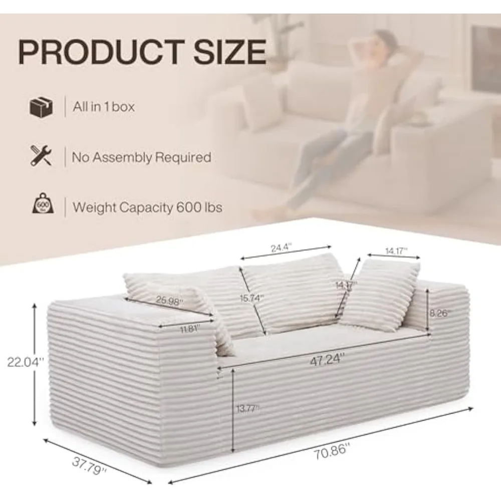 Loveseat Sofa, Cloud Couch, Modern Cloud Sofa with 2 Pillows, 70-Inch Contemporary 2-3-Seater Deep Seat Sofa Couch