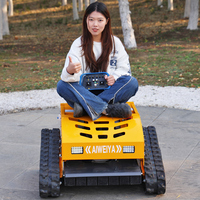 Customized Factory Price AWY-550H Smart diesel Engine Lawn Mower Crawler Flail Remote Lawn Mower CE EPA