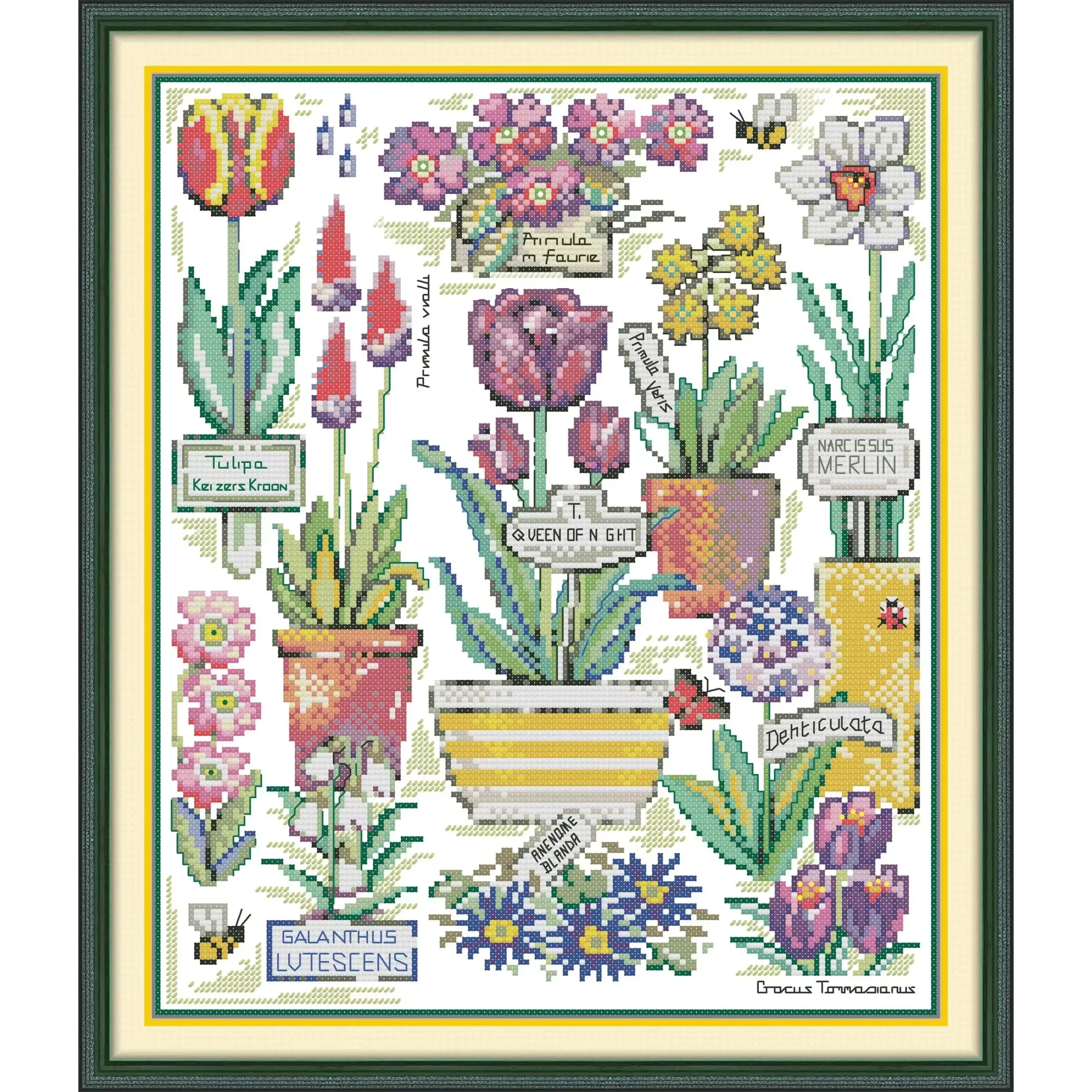 Joy Sunday New Printed Cross Stitch Kit  Easy Pattern Aida  Stamped Fabric DMC Threads Embroidery Kits-Flowers on The Botanical