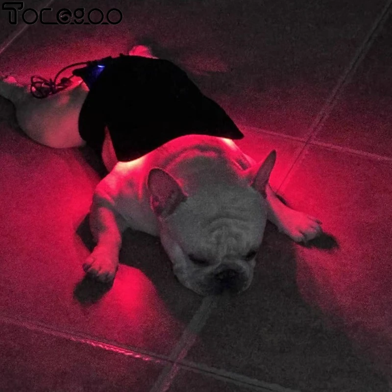 

Cold Laser Therapy for Dogs Portable Red Light Therapy Vet Device for Pain Relief Muscle & Joint Pain from Dog Arthritis