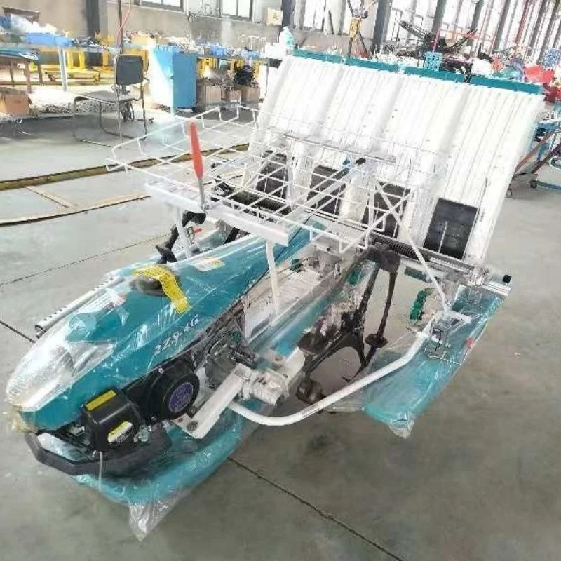 Многорядное рассадочное устройство для рассады, посадка рассады, ручная сеялка для рассады