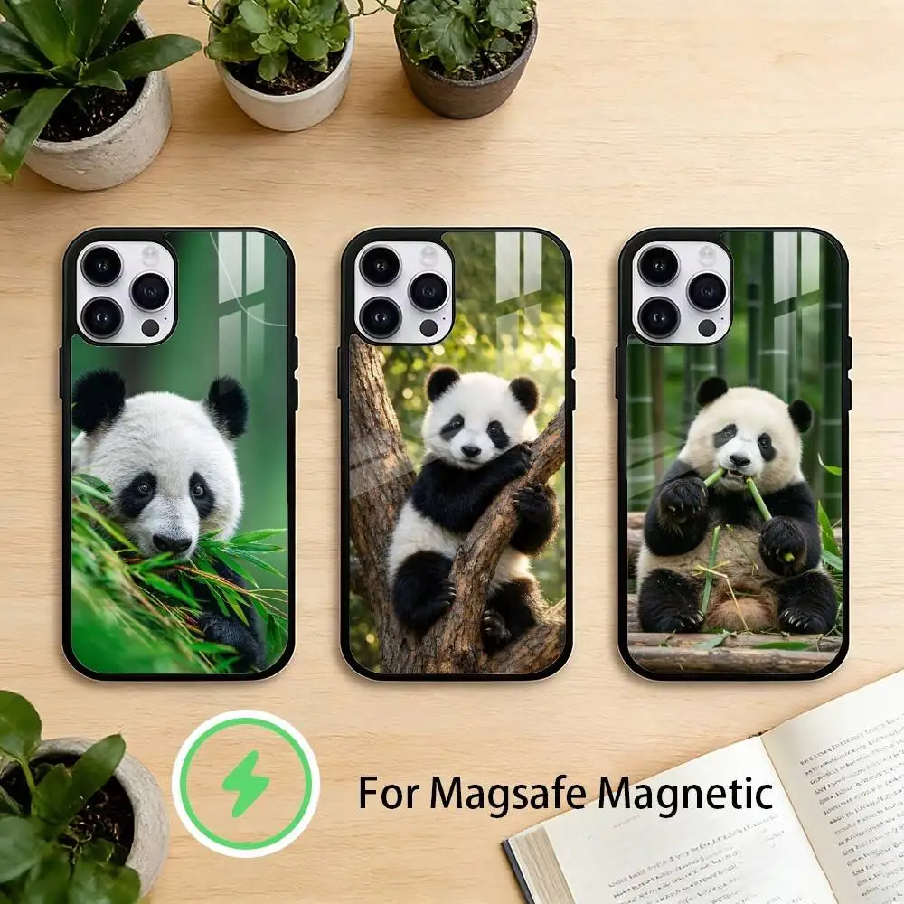 

Funny Pandas Phone Case For iPhone 17 16 15 14 13 12 Pro Max Plus for Mirror Wireless Magnetic Cover