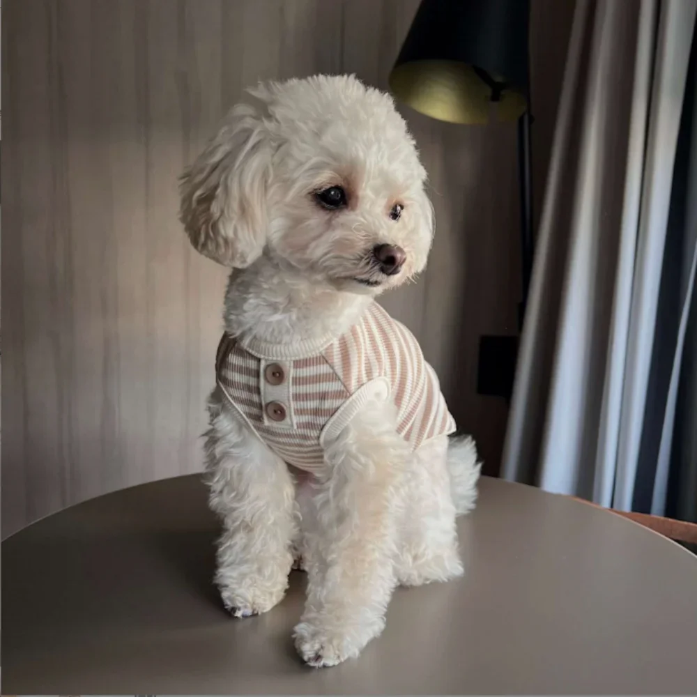 1 Stück einfache gestreifte Strickweste, weicher Hundepelz für Frühling und Sommer, Kleidung für kleine und mittelgroße Hunde, Katzen und Haustiere – Detail 6