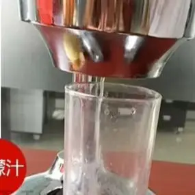 Household Manual Juicer Commercial Stainless Steel Squeezed Orange Juice Fresh Lemon Juicer Orange Juicer