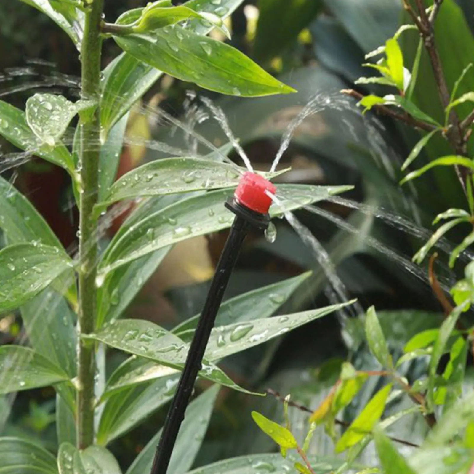 

25m Automatic Plant Watering System Schedulable Timer Automatic Plant Watering System Mini Trickle Irrigation Kit for Greenhouse