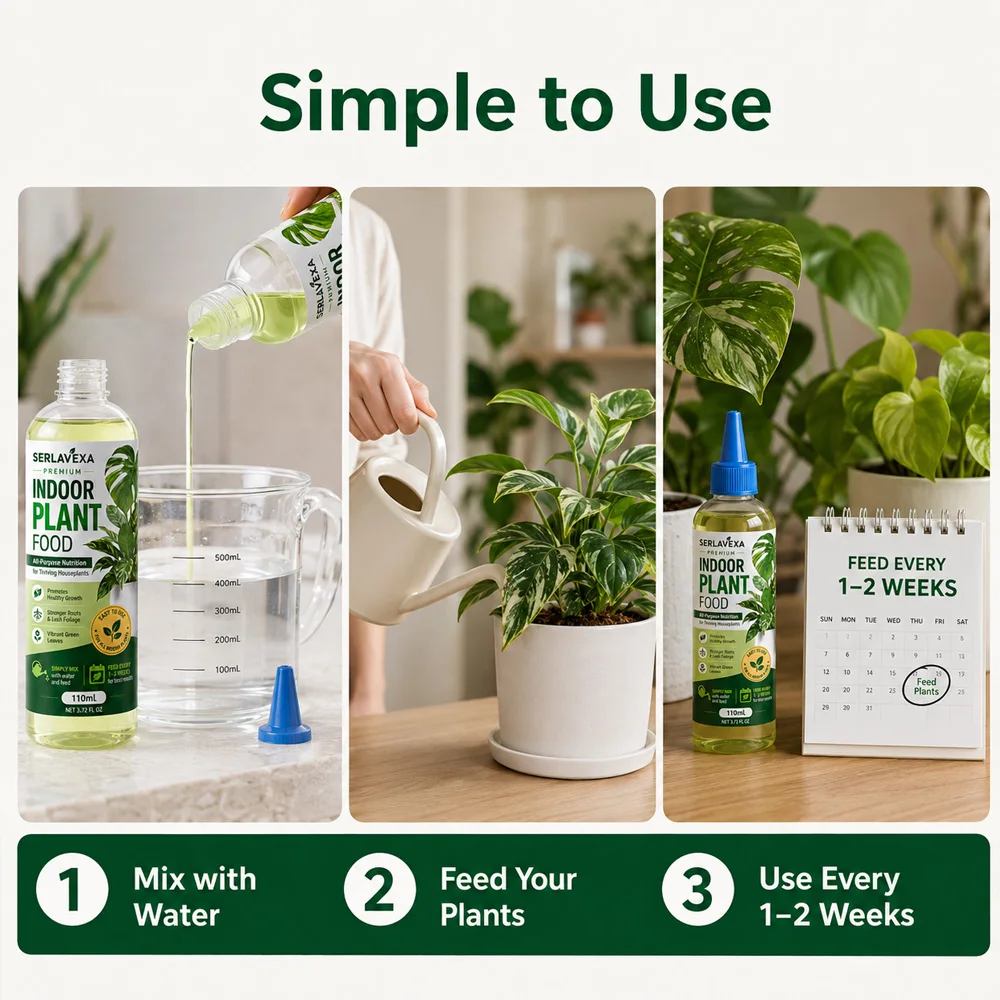 SERLAVEXA Aliment pour plantes - Root Stimulator Liquid avis et prix