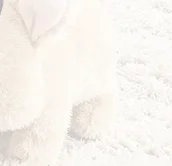 لعبة خنازير كهربائية مقلدة من القطيفة الواقعية يمكن المشي على النباح ألعاب الحيوانات الأليفة الإلكترونية هدايا لطيفة للأطفال #1