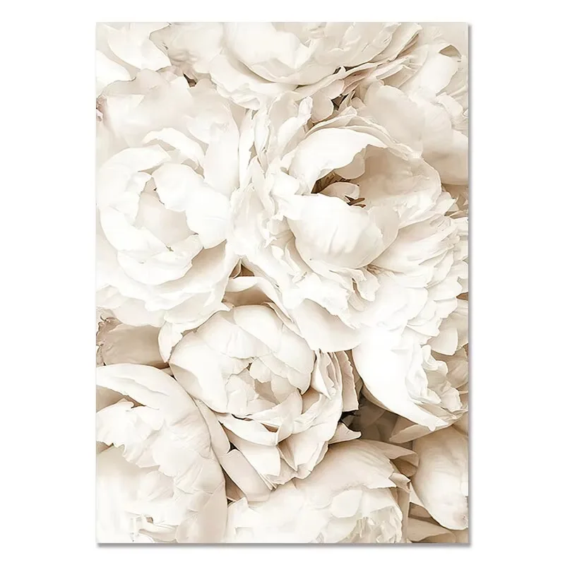 Nordic Wall Art White Shell Beach Flower Dandelion Posters Canvas Painting and Prints Wall Pictures for Living Room Home Deco