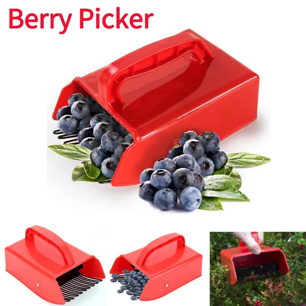 Portable Berry Picker Ergonomic Berry Pick Rake Plastic Handle Picking Tool Blueberry Collection Harvester with Ergonomic Handle