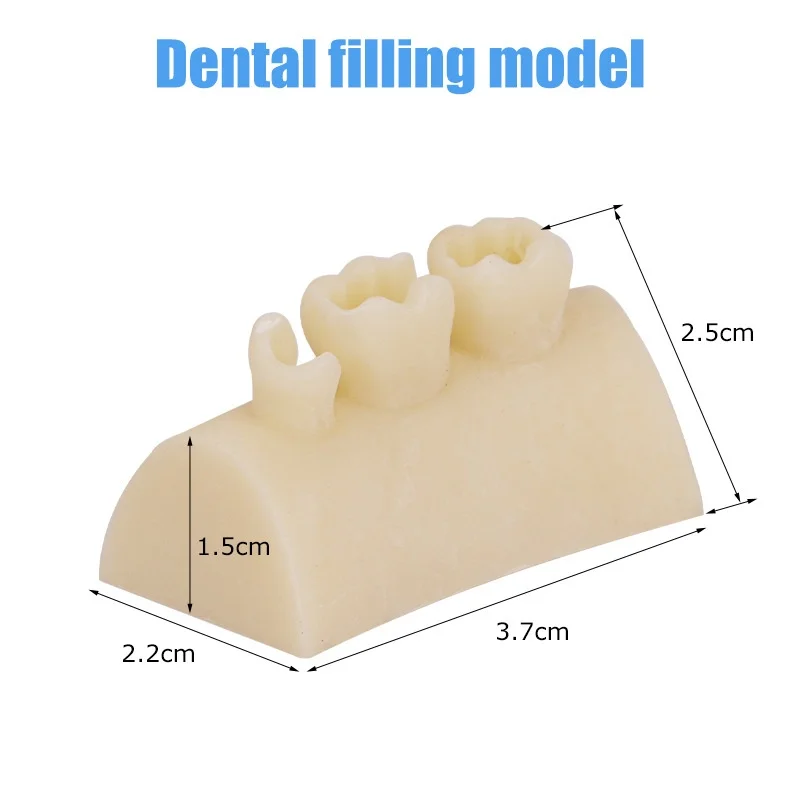 4pcs Dental Inlay Exercise Model Block Composite Resin Filling Practice Dentistry Oral Teeth Teaching Typodont Study Tool