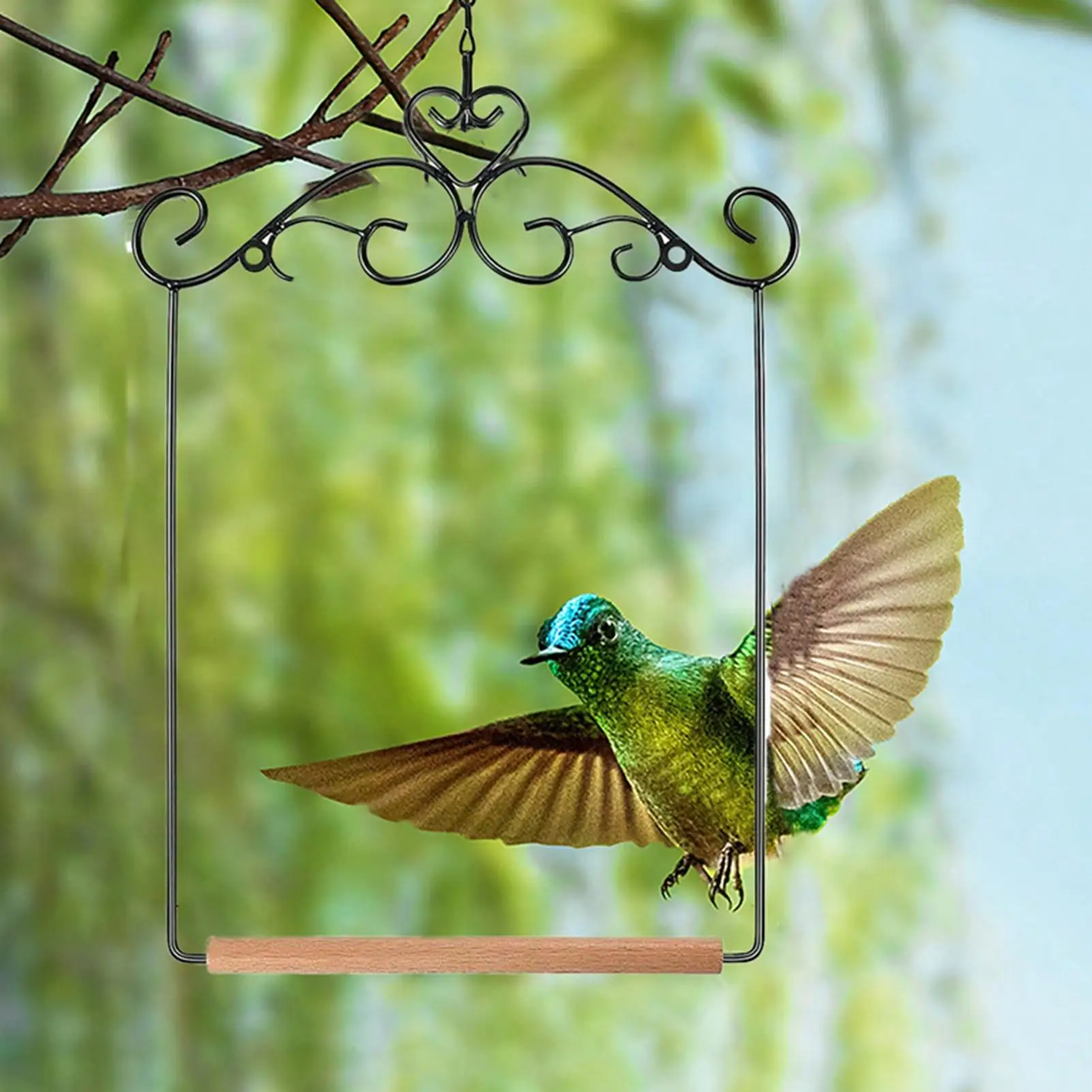 Juego de columpio y percha para colibrí, parque infantil de jaula para pájaros al aire libre para cacatúa, periquito, pájaro, guacamayo, decoración de jardín y Patio