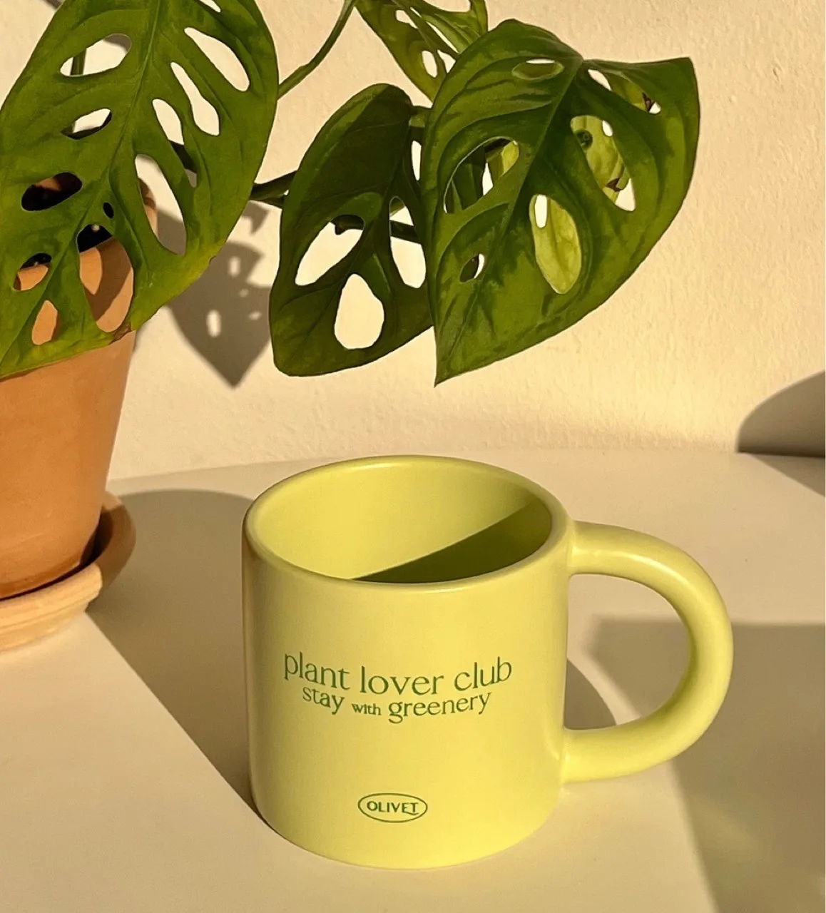 Plant Lover Club Stay with Greenery Matcha Green Ceramic Mug Water Cofee milk beer tea Cup