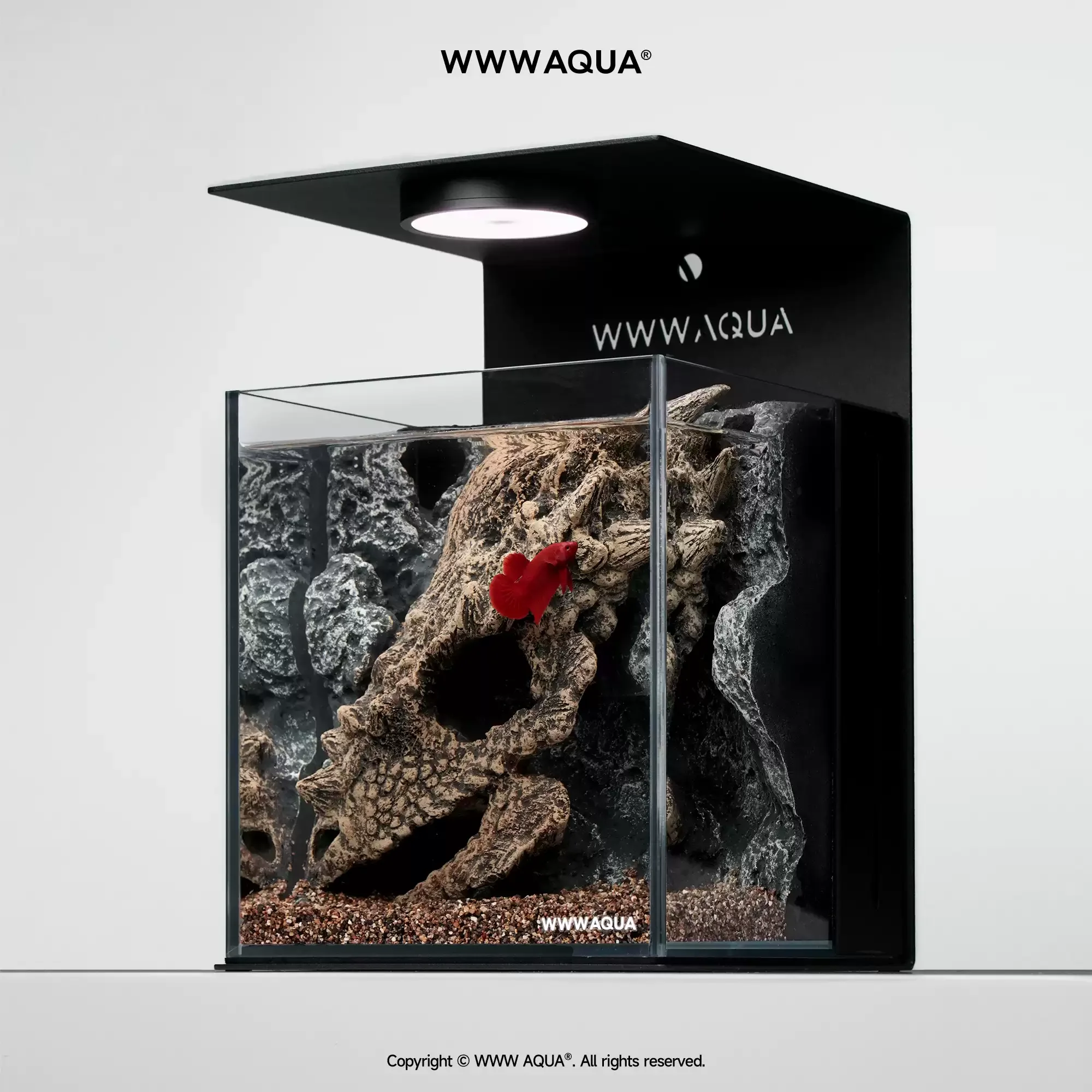 Universe Grocery Store Ancient Fossil Series Longmeihua Ultra-clear Glass Betta Tabletop Landscape Fish Tank
