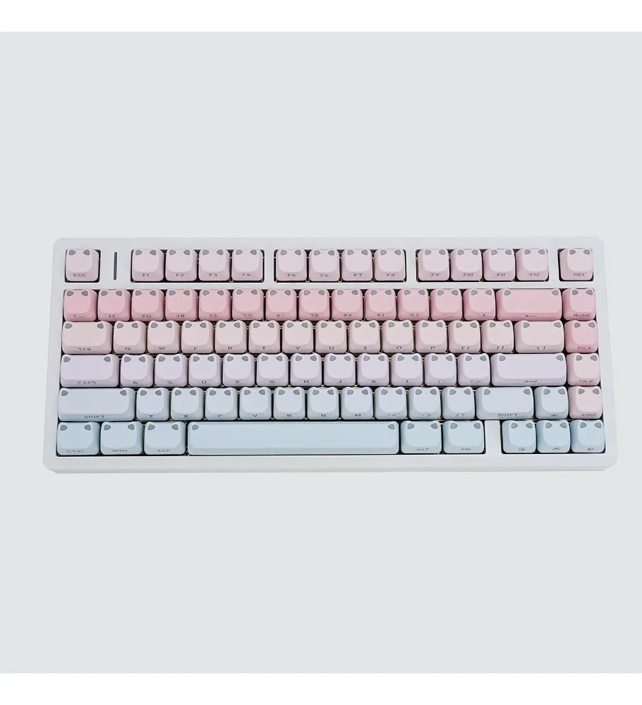 Cat height side engraved light transmission large full set of gill blue PBT5 surface thermal sublimation keycaps