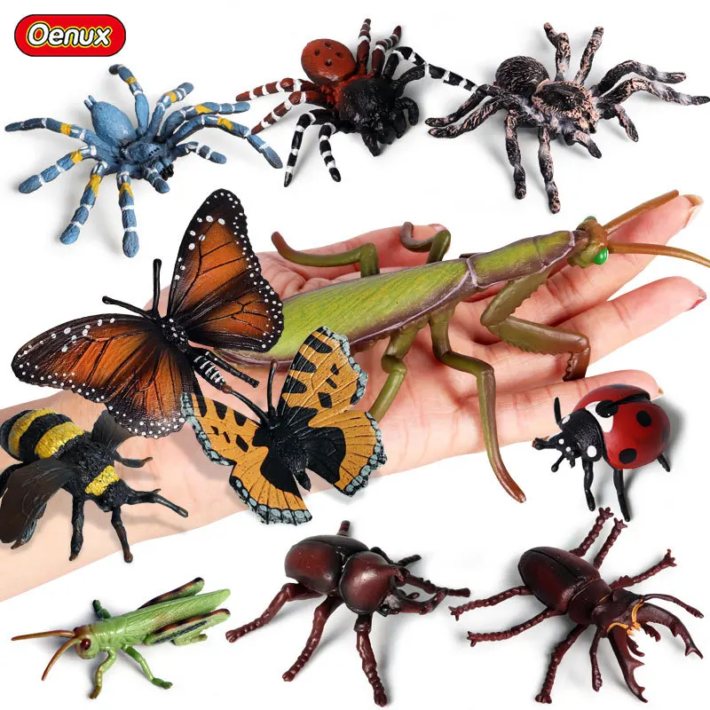 43 أنواع من نماذج الحيوانات والحشرات على شكل فراشة النحل اليعسوب السرعوف النمل الحلزون شخصيات الحركة مجموعة جويت ديكور لعبة تعليمية للأطفال