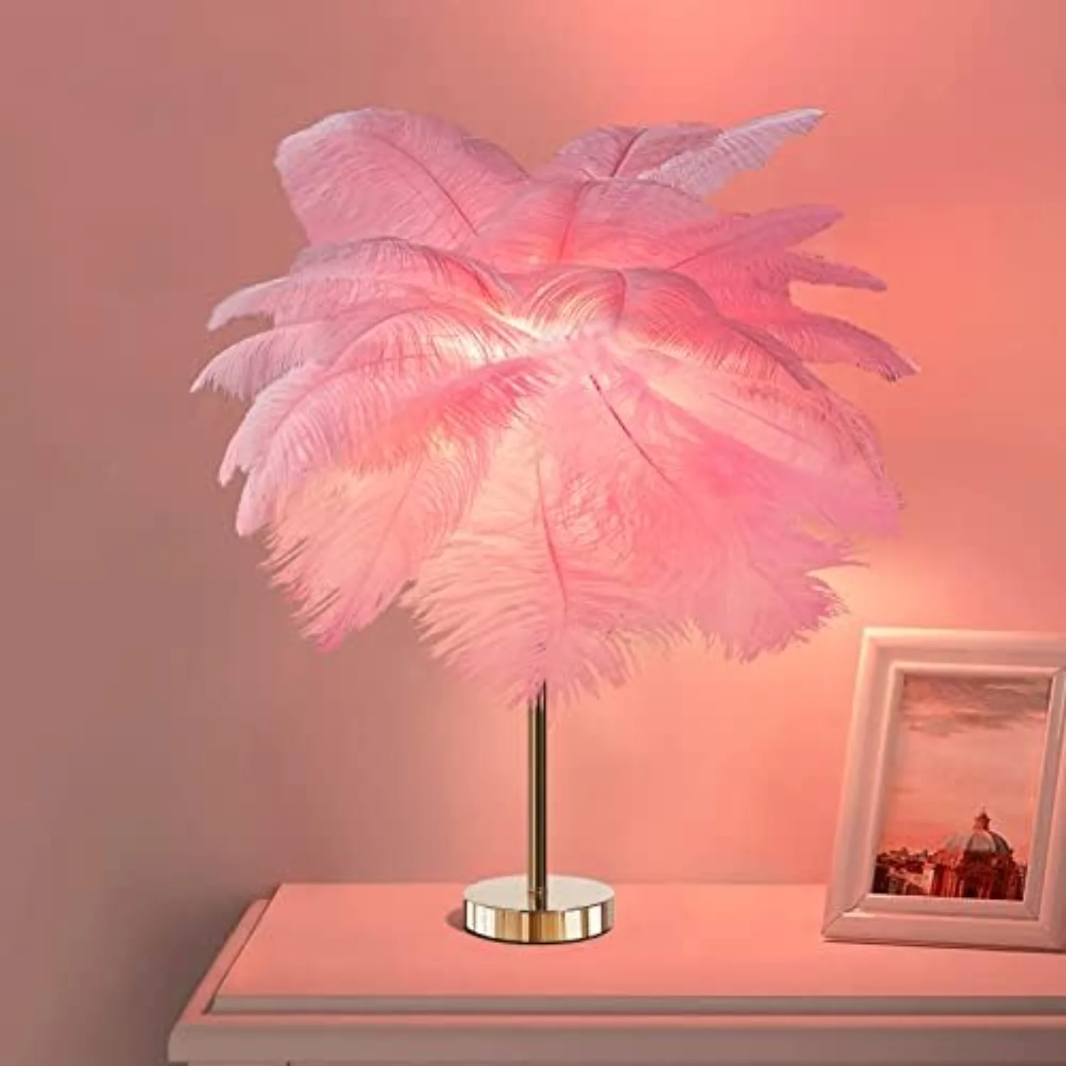 Feather  with Plug in Wire, Modern Feather Lamp , Golden Lamp Body for Bedroom Nightstand Lamp Desk Night Light