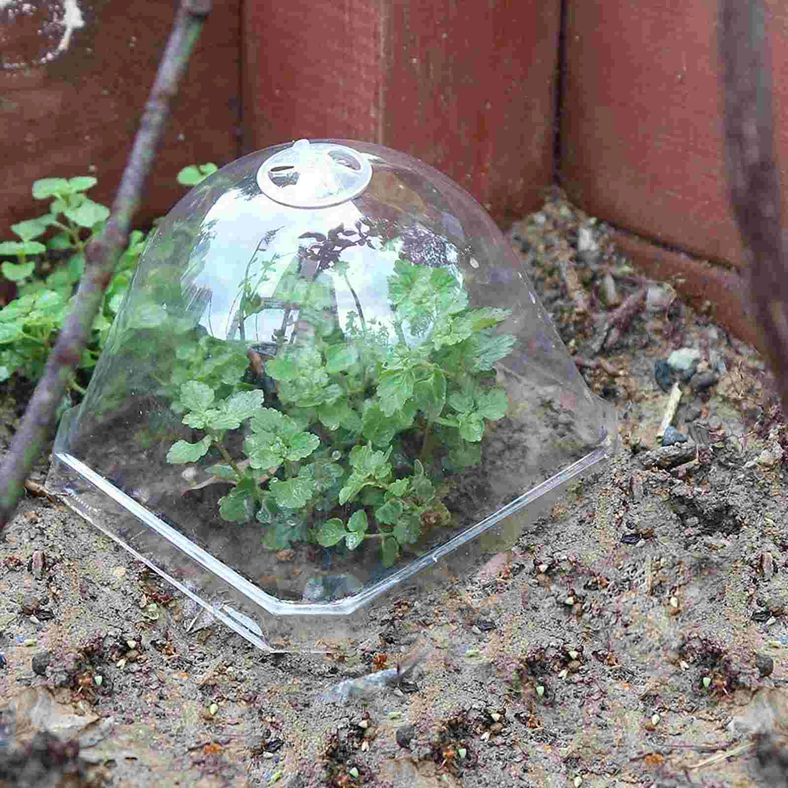 Flower Pot Seedling Cover Freeze Protection Cloche Circle Tray Dome Planter Clock Transparent Humidity