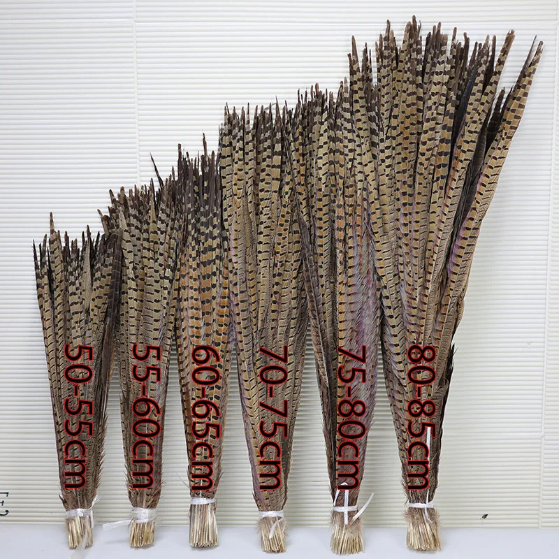 

Wholesale 15-100cm Pheasant Tail Feathers Funny Cat Stick Peking Opera Costume DIY Accessories Decoration