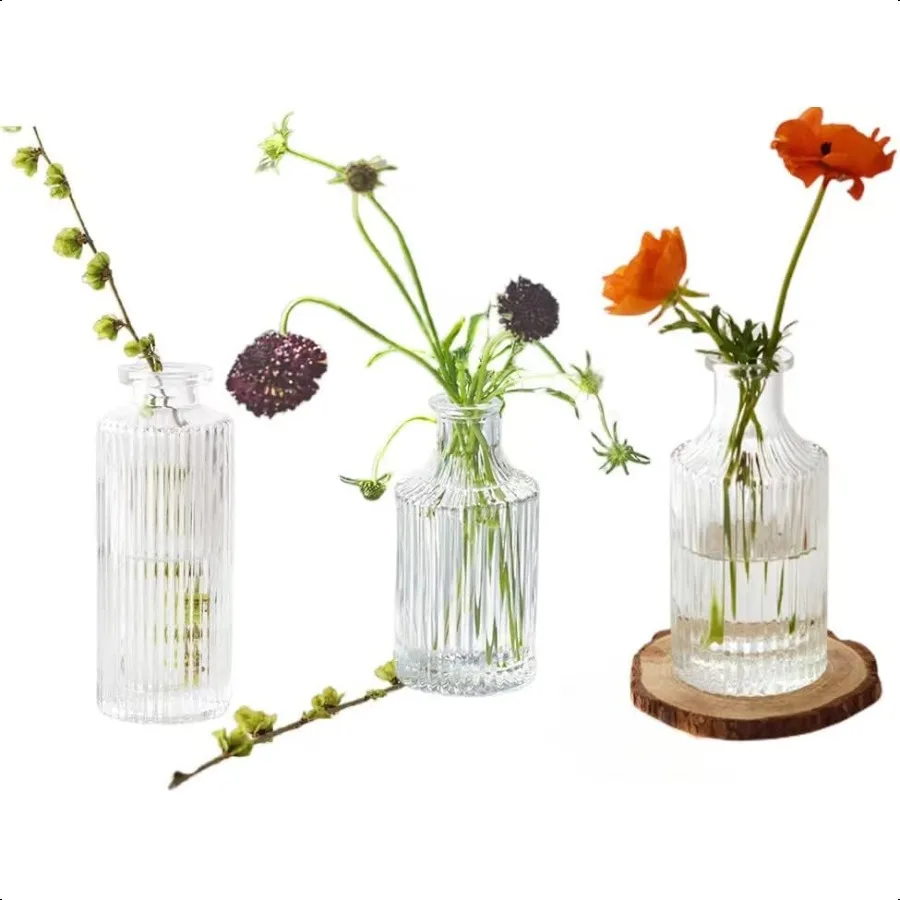 Florero de cristal pequeño para centros de mesa, juego de 3 jarrones de cristal, florero hidropónico, Mini florero de mesa transparente Vintage en relieve decorativo para