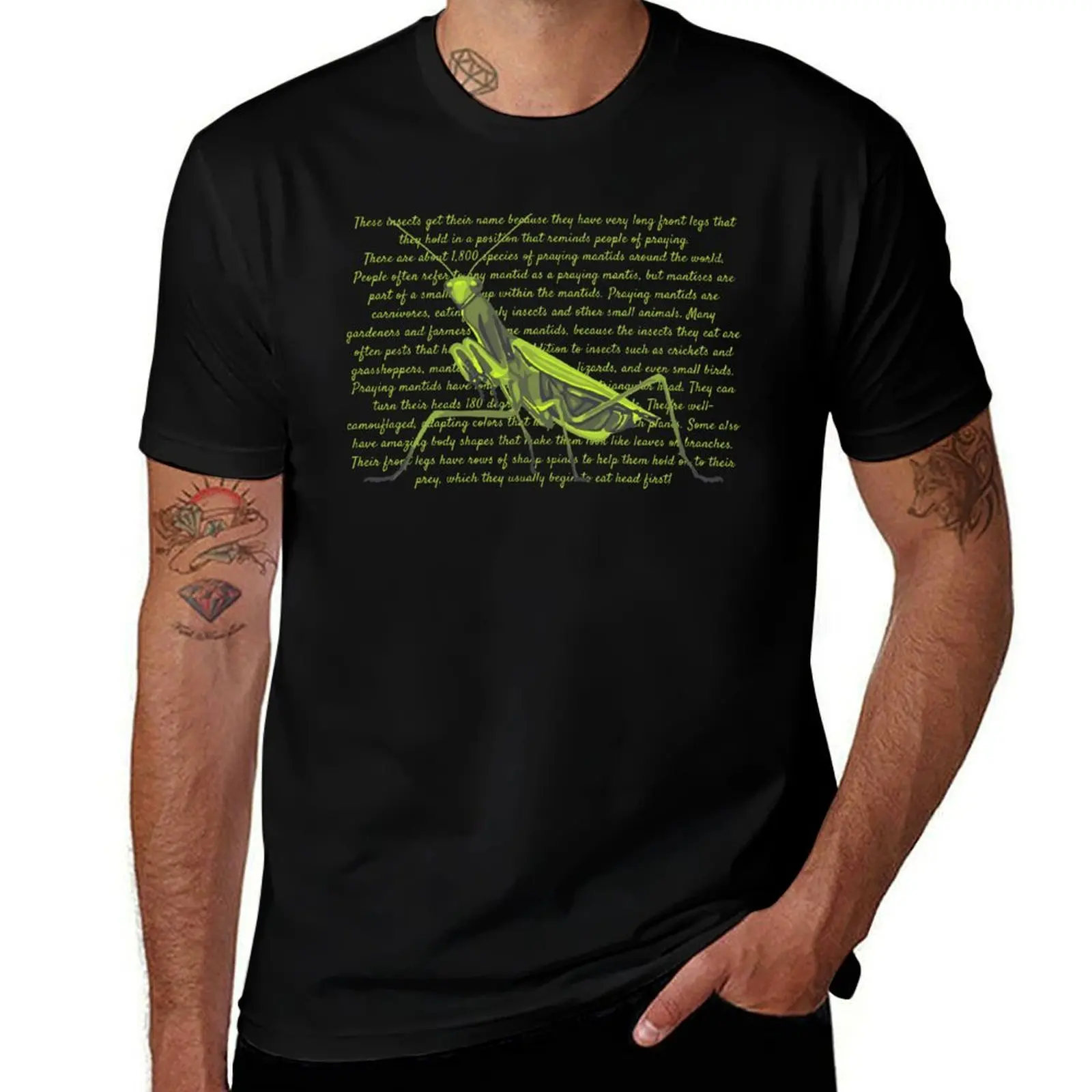 Praying Mantis Info T-Shirt Quick Dry Light Sports T-Shirt