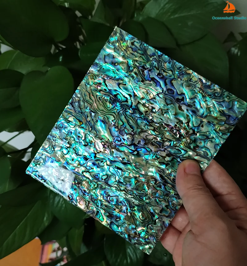 Nature Paua Abalone Flat Shell Inlay Material Slab Mother of Pearl Inlay Veneer Luthier Supply DIY Project Handicraft Materials