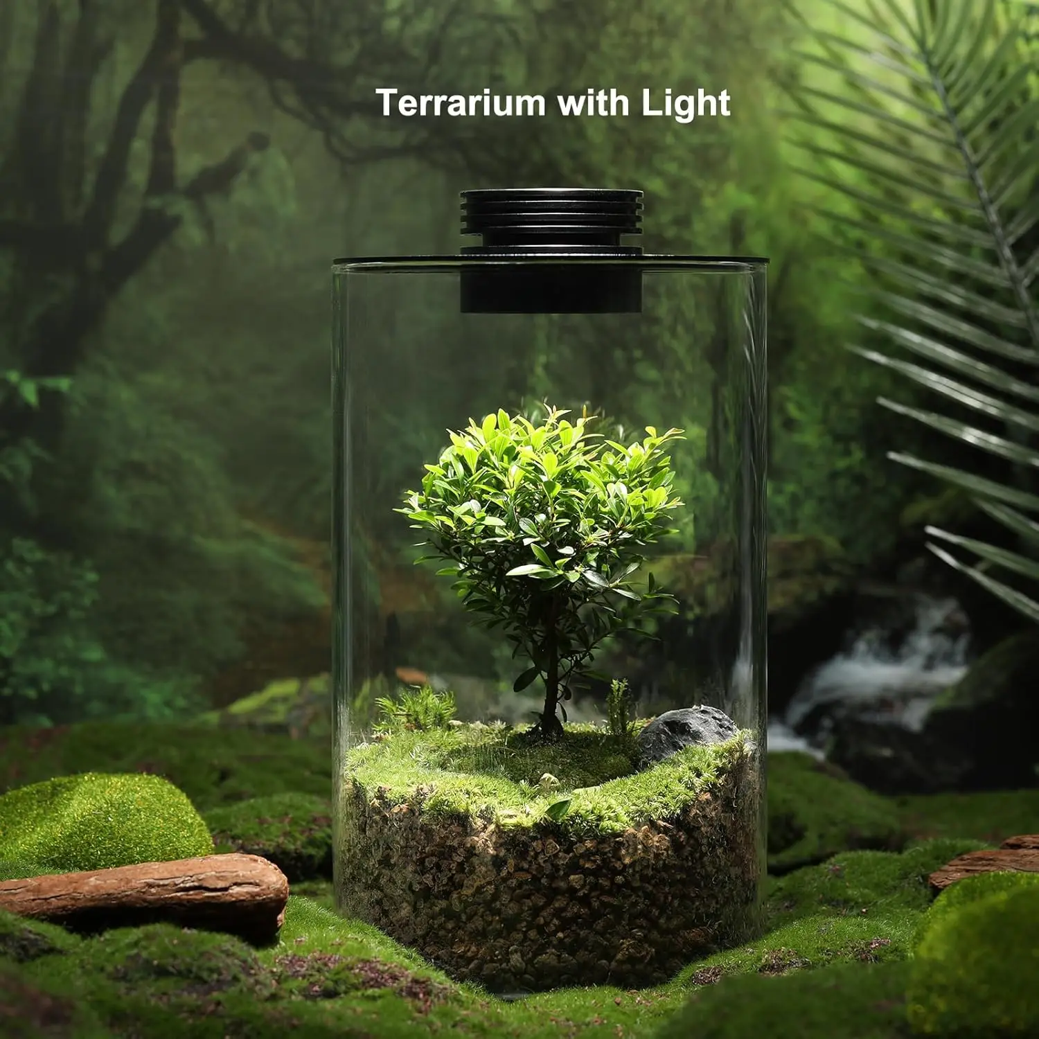 Desktop Glass Plant Terrarium with Grow Light (H:9.8