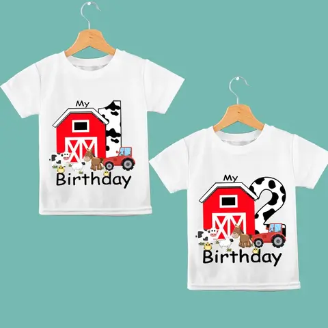 Country Rustic Barnyard Farm Animals Themed 1st 2nd 1 2 First Second One Two Year Old Boy Girl Happy Birthday Decoration Gift