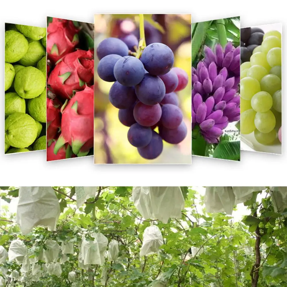 100pcs Strawberry Grapes Fruit Grow Bags Netting Mesh Tools Plant Anti-Bird Agriculture Bags Protection Garden Vegetable C7L5