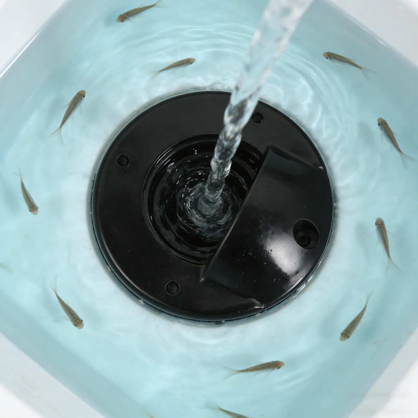 

Комплект для слива воды из транцевого отверстия лодки: нейлоновая заглушка, герметичная, быстросъемная, устойчивая к коррозии, морская фурнитура для каяков и плотов