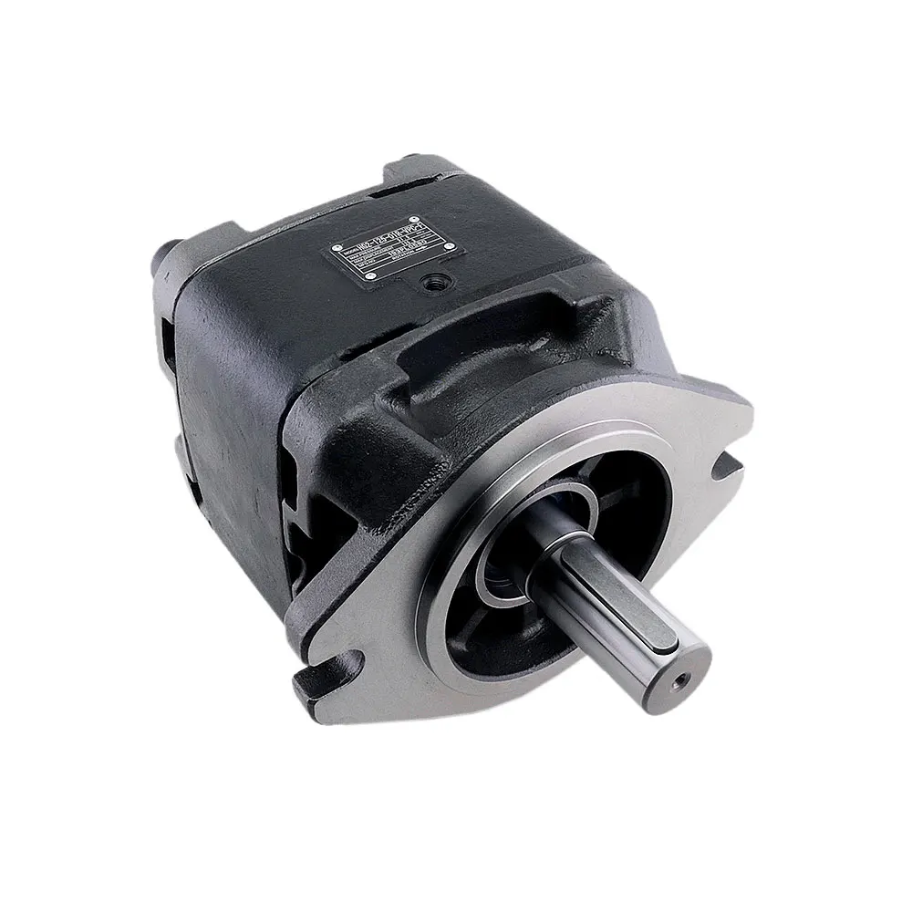 

Hydraulic Gear Pump HG2 Series Double Hydraulic Pump HG21-80 HG21-125 HG21-16 High Pressure Servo Oil Hydraulic Gear Pump