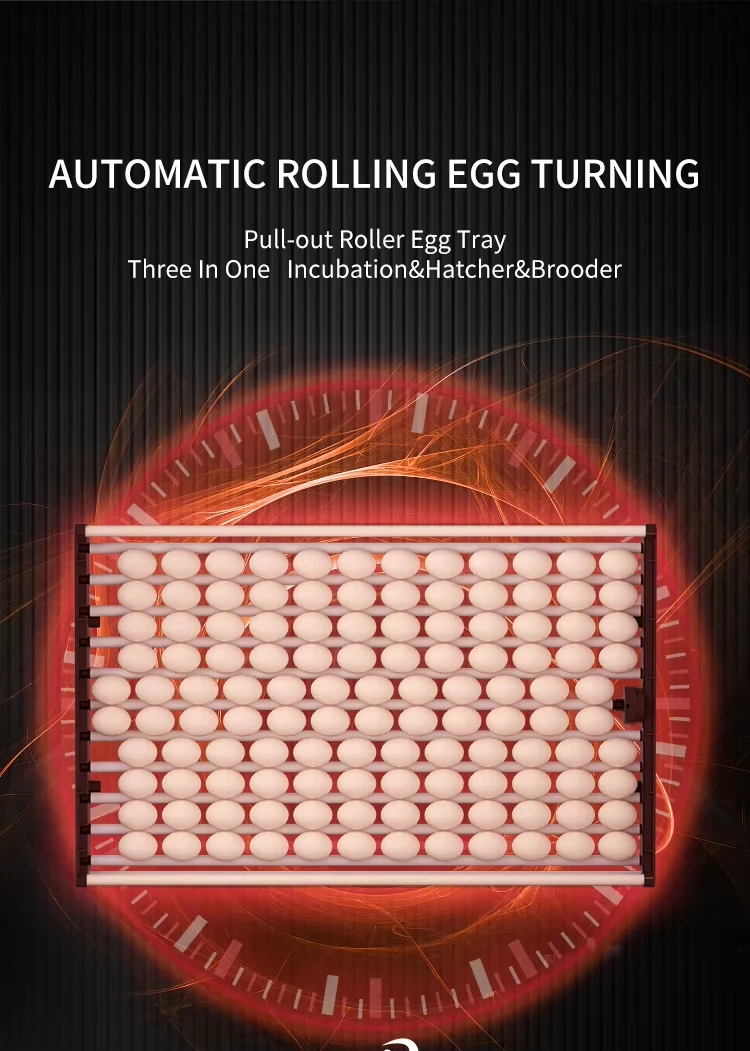 WONEGG Large Capacity 6000 Egg Incubator Industrial Chicken Incubators for Hatching Eggs