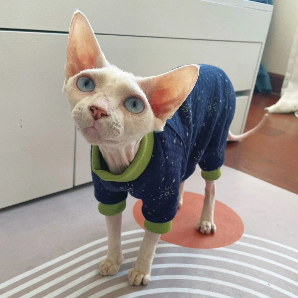 Sphynx Cat Clothes Blue Thick Cotton 4-legged Warm Loungewear for Kittens Small Dogs Winter Coat For Devon Rex Cat accessories